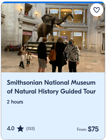 Smithsonian National Museum of Natural History Guided Tour